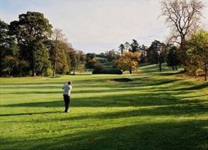 FANCOURT ESTATE